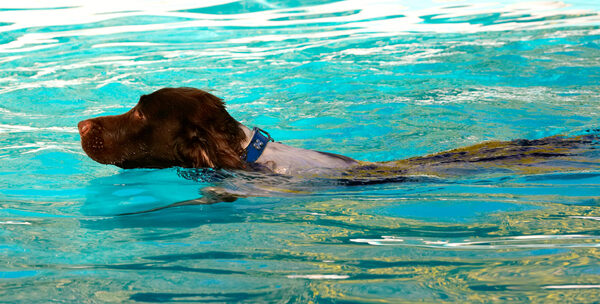 Gotta keep my head above water