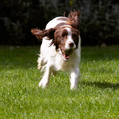 I'm flying