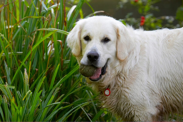 I know, I'm just so handsome