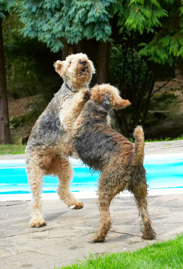 Sparring partners