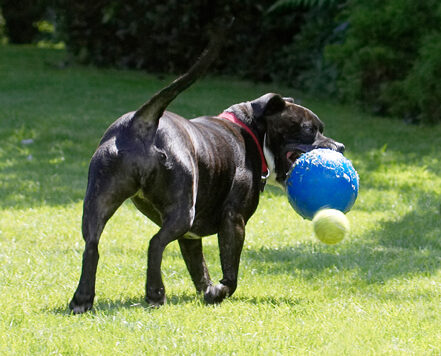 Where'd that ball come from?
