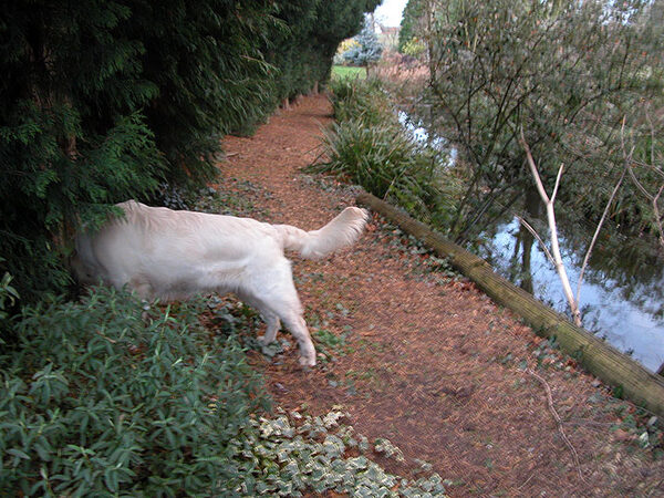 Joe Hunting for something Exciting
