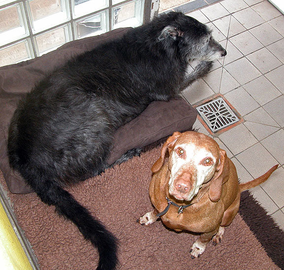 Ted and Joanie