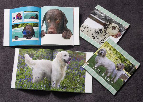 Our New Dog Photo Album