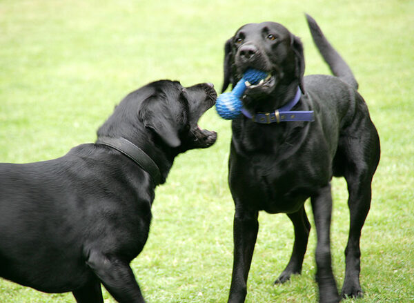 Give Me That Blue Thing . . . .