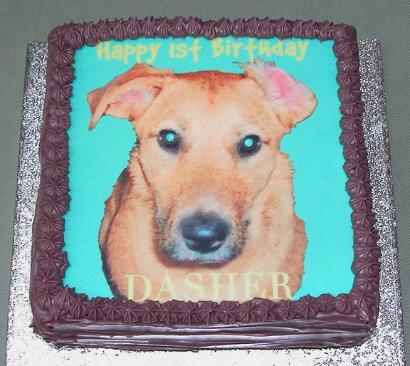 Dasher