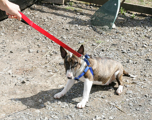 Gucci On Her Way Home