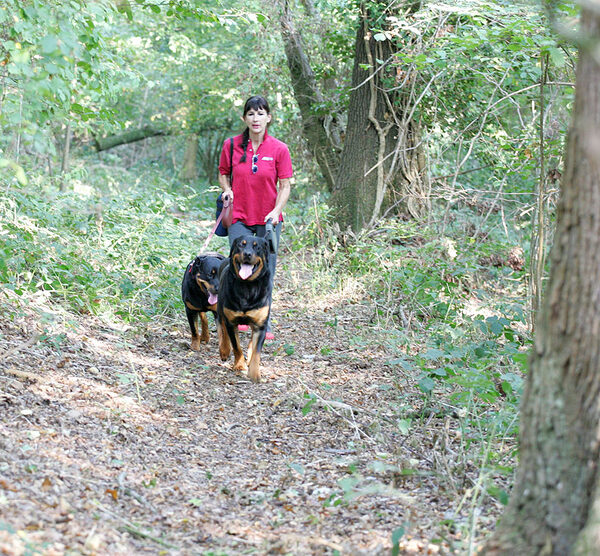 Missy and Ronan Walking Up The Path