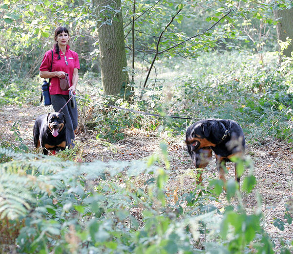 Missy and Ronan in Lord's Wood