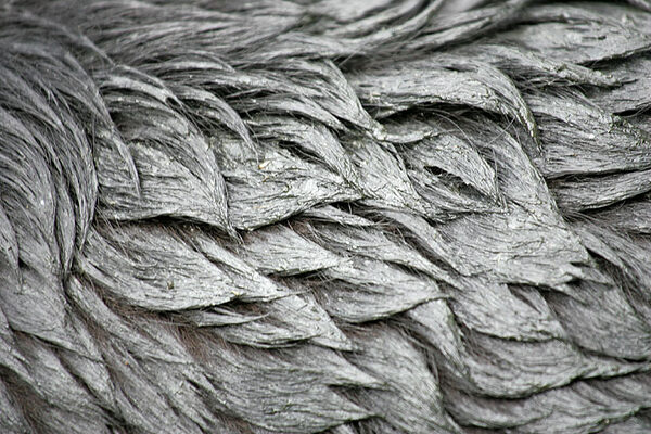 Max's Coat