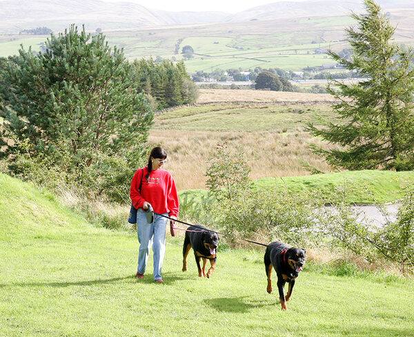Missy and Ronan