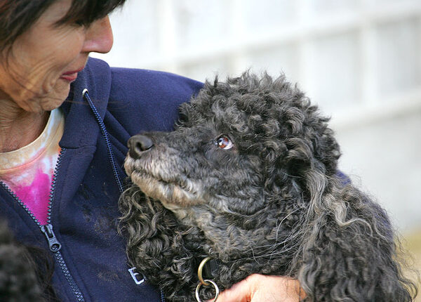 Unconditional love!  India looking at me lovingly.