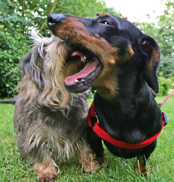 Sweep and Banjo