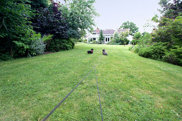 Long Leads