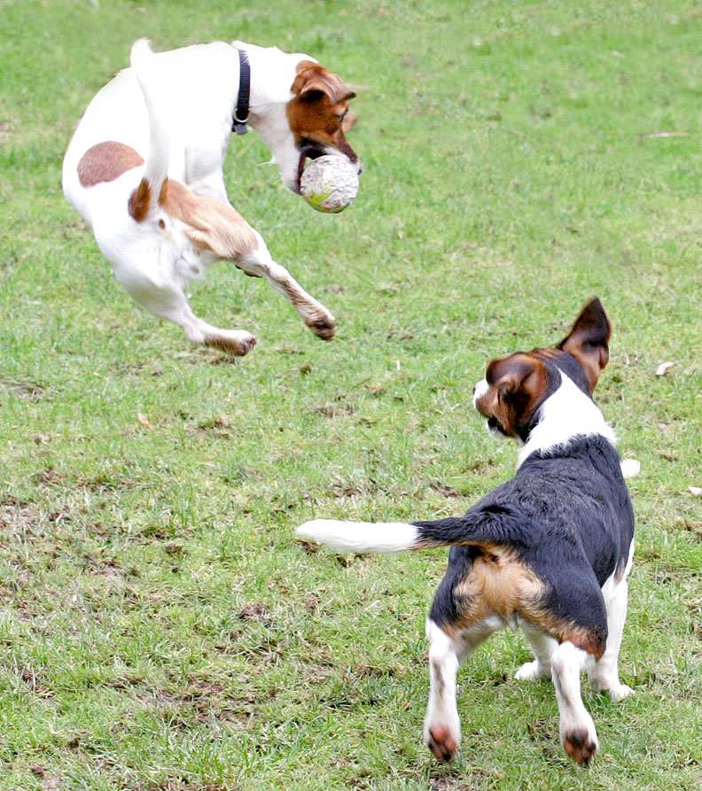 Sally Takes To The Air
