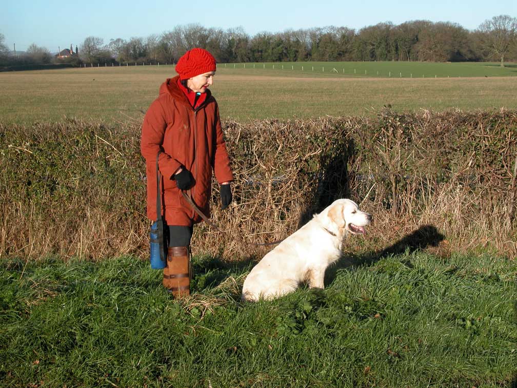 Joe on Boxing Day Morning Walk