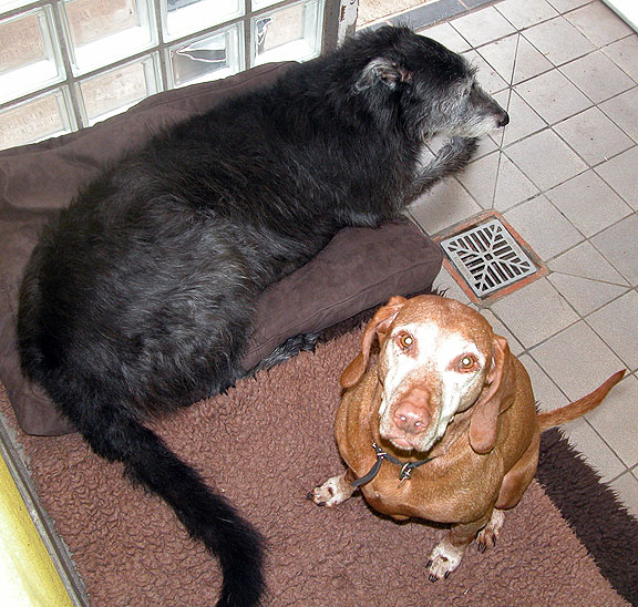 Ted and Joanie