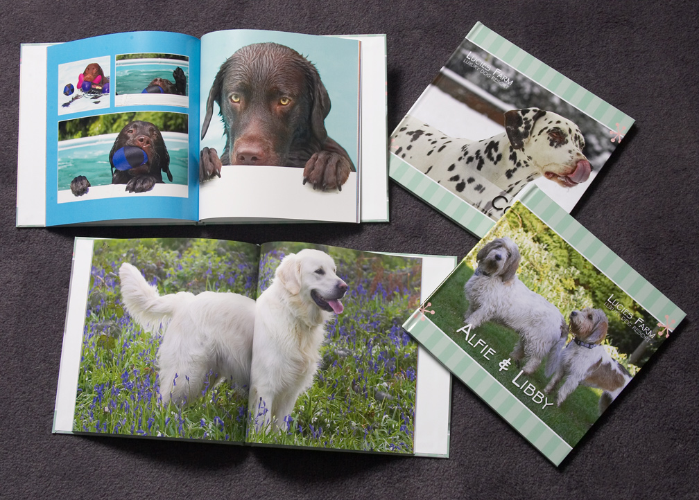 Our New Dog Photo Album