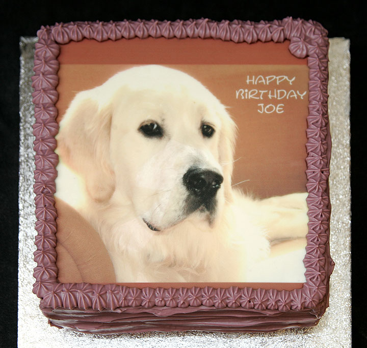 Joe's Birthday Cake