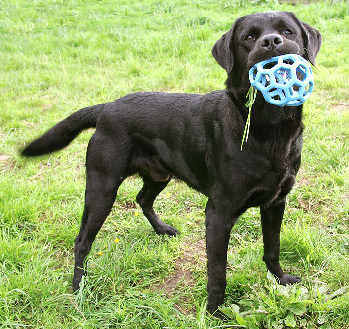 Otis with quite a mouthfull