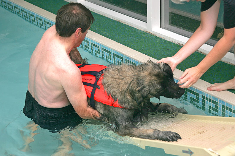 Paul and Dorothy Help Oscar Up The PetRamp