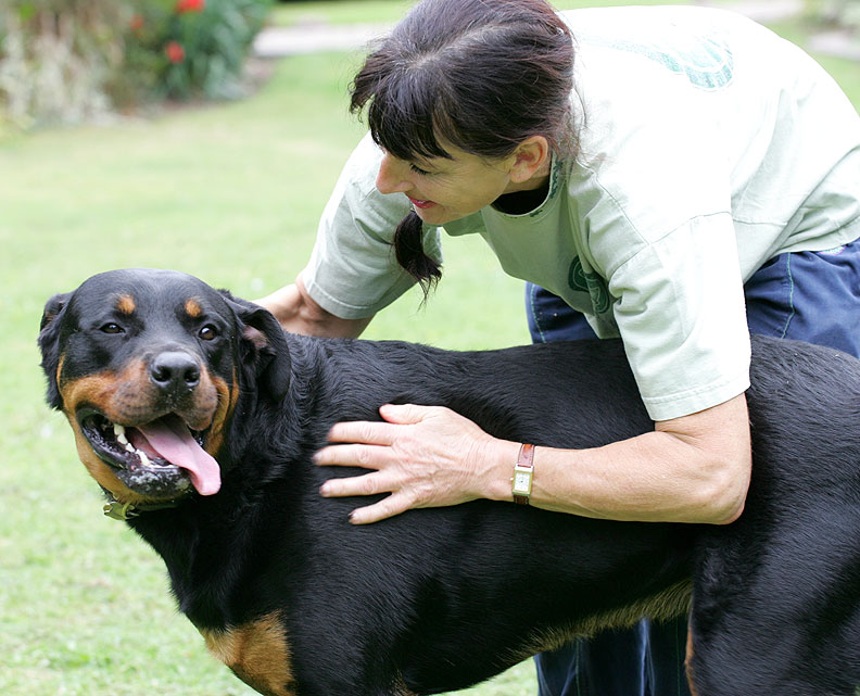 Ronan Getting Cuddles from Marjorie