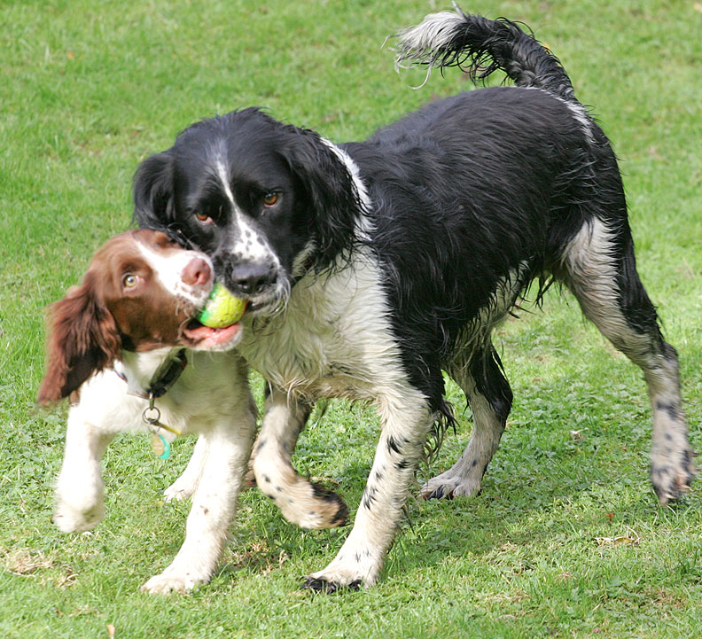 It's mine, no it's mine!