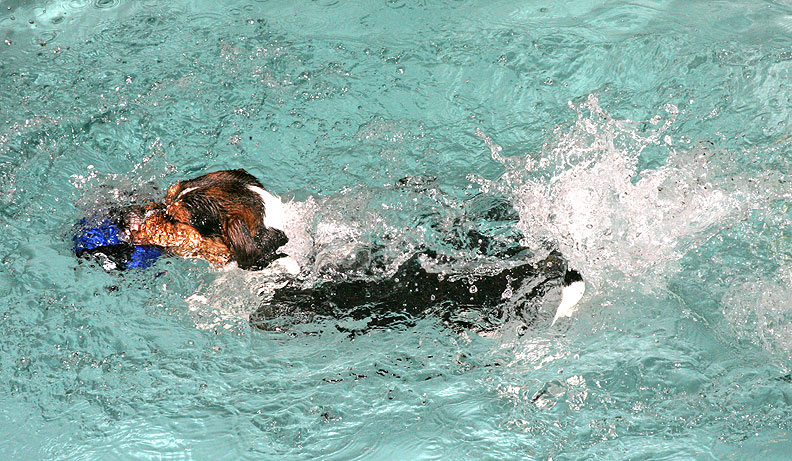 Jake Doing A Belly Flop