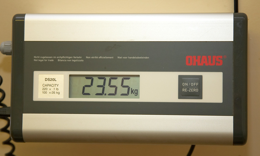 Wow, just look at that weight.  And if they take my collar off that will remove some more!