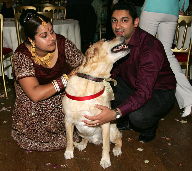 Zac at the Wedding Reception