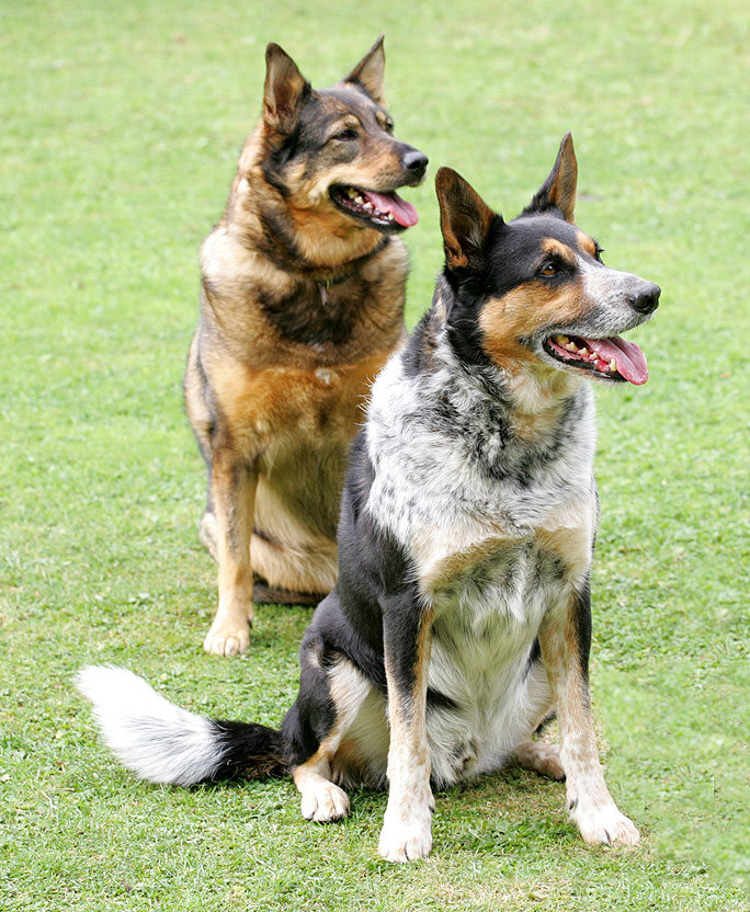 Sophie and Bart