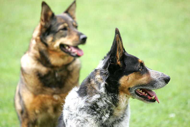 Sophie and Bart