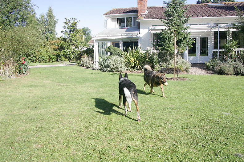 Bart and Sophie