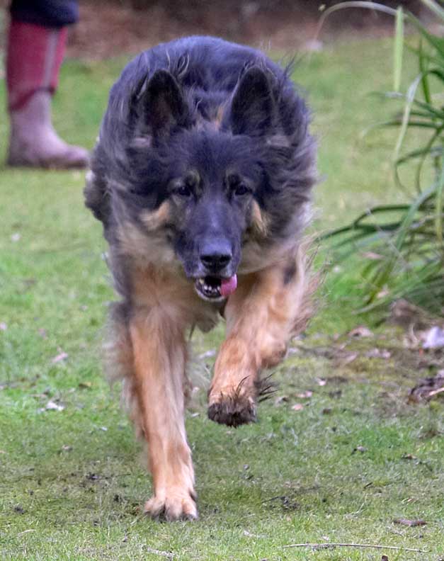 Trunks Playing Catch