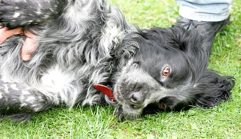 Bracken In The Zone