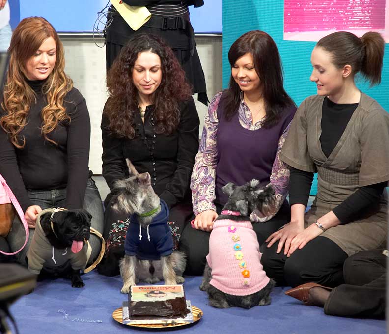 A Pampered Pooch Party on ITV's "This Morning"