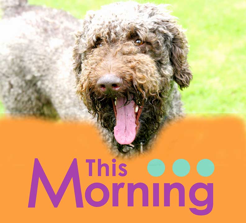 Elvis on the "This Morning" Pooch Party Cake