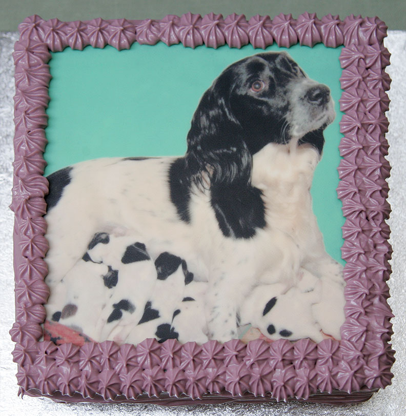First Birthday Cake