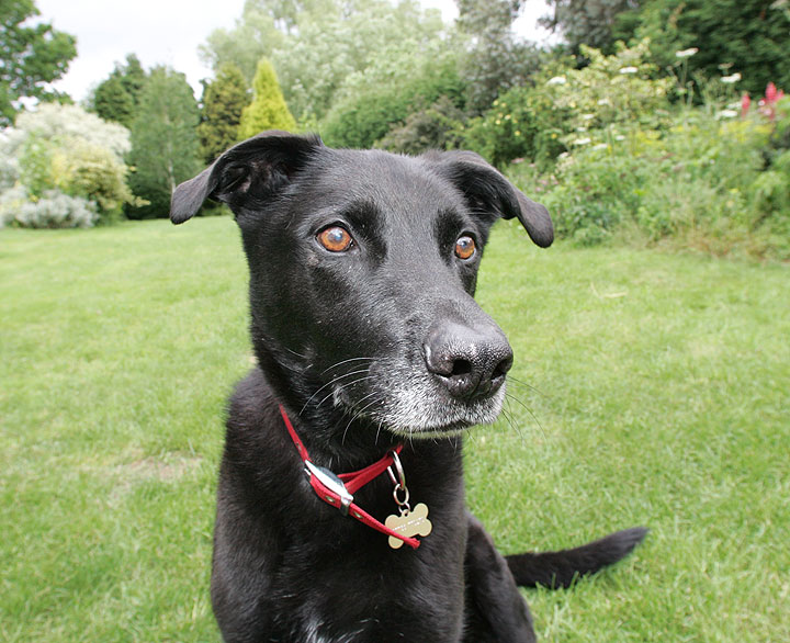 Jet