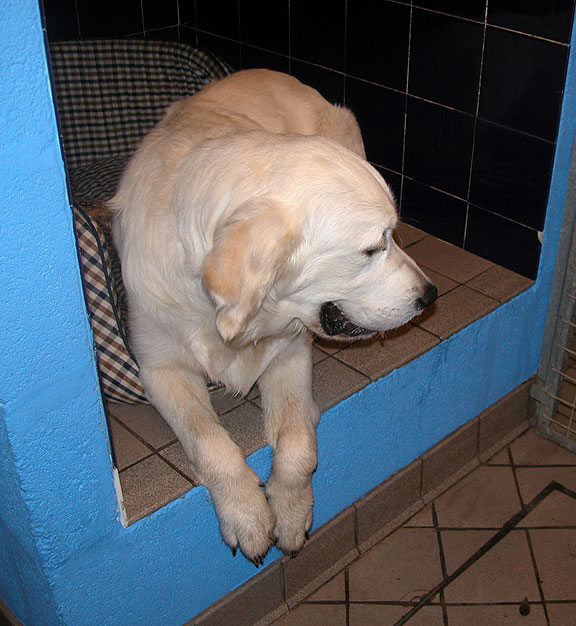 Joe In Residence in His Cubby