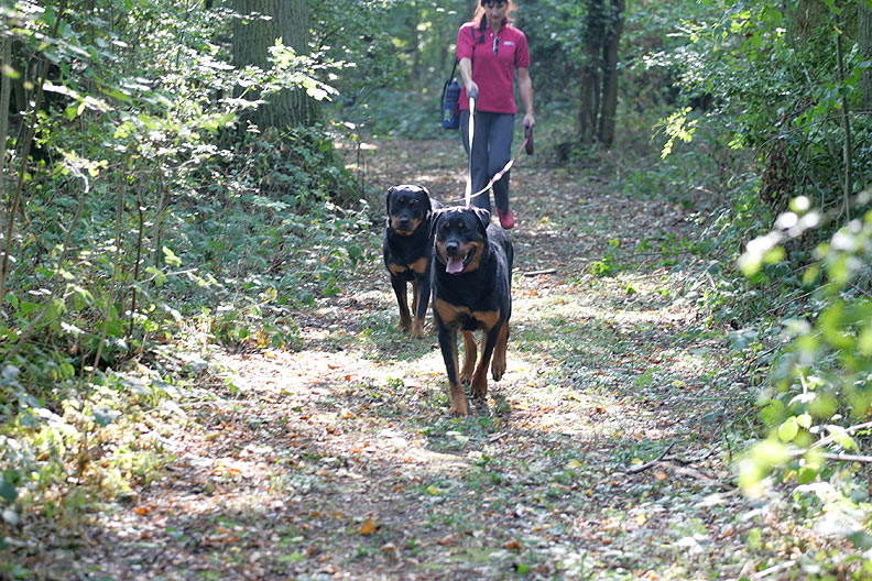 Missy and Ronan in Lord's Wood