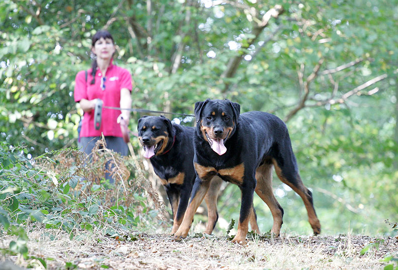 Missy and Ronan on a Walk