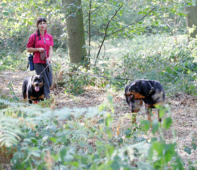 Missy and Ronan in Lord's Wood