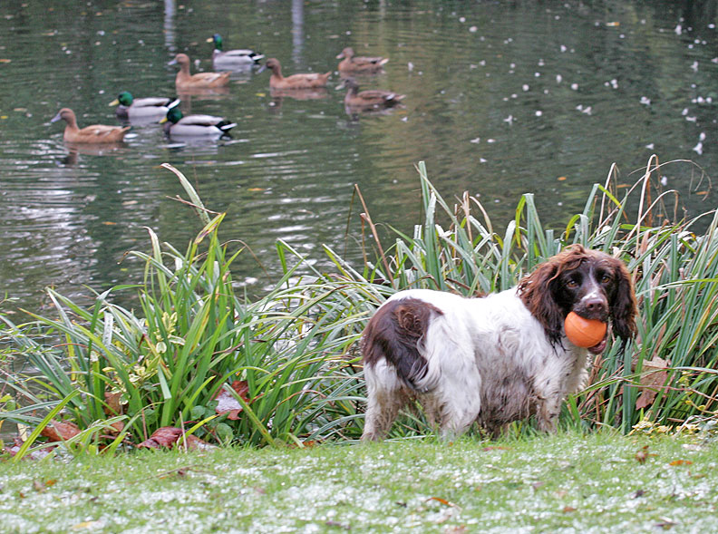 Meg Not Looking at the Ducks