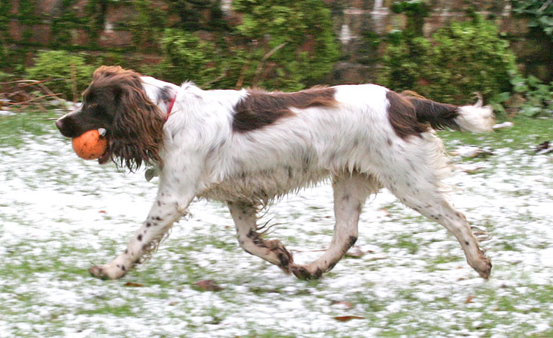 Meg Running in the "Snow"