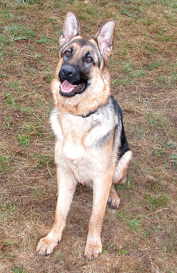 Paulo