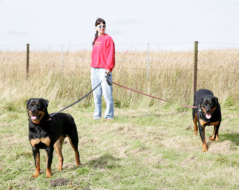 Ronan and Missy On A Walk