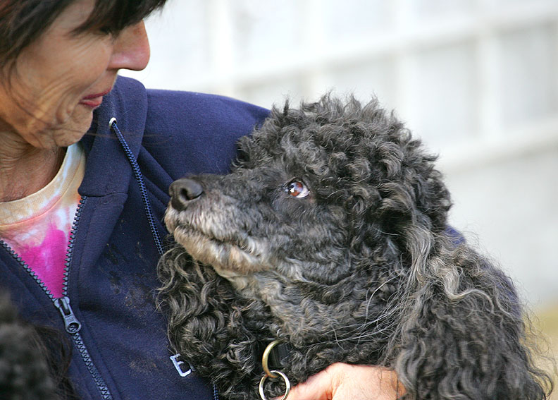 Unconditional love!  India looking at me lovingly.