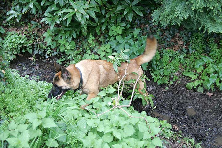 Tiny Finds Mud