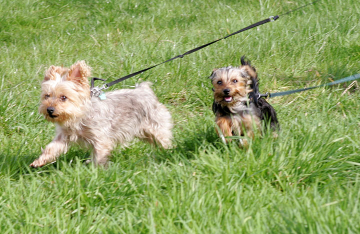 Bonnie and Maxi